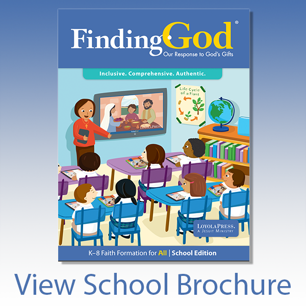 view school brochure