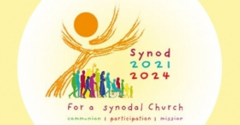 LOGO SYNOD AMAZON - Today's Catholic