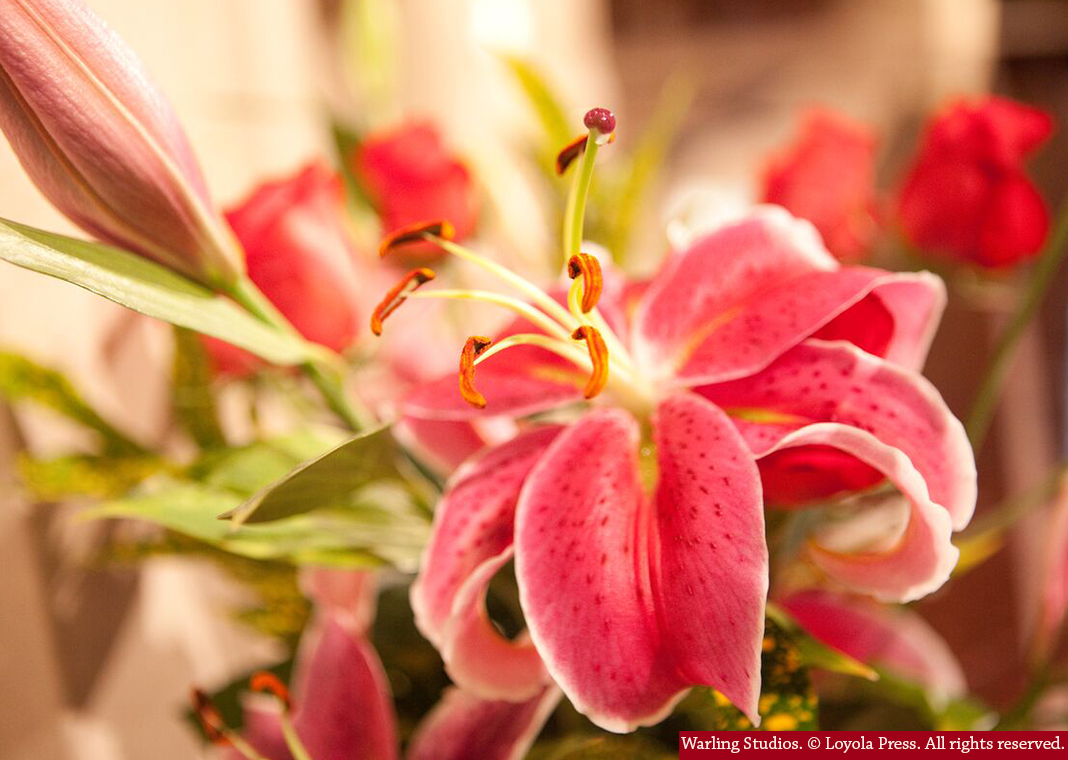 Easter lily - Warling Studios. © Loyola Press. All rights reserved.