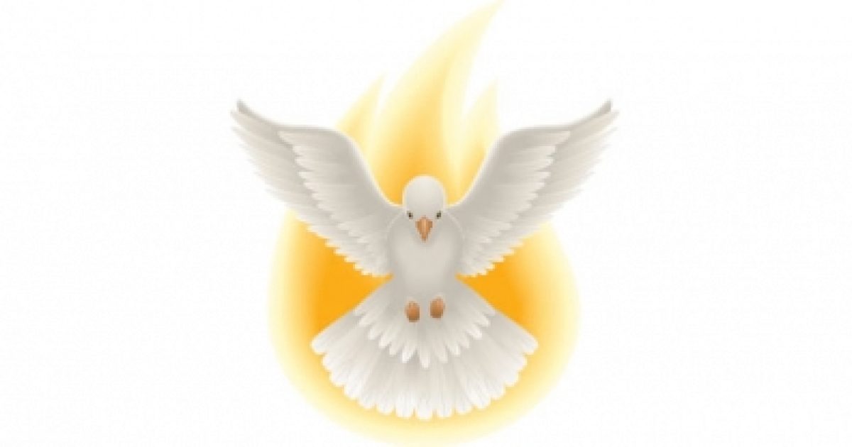 catholic dove symbol